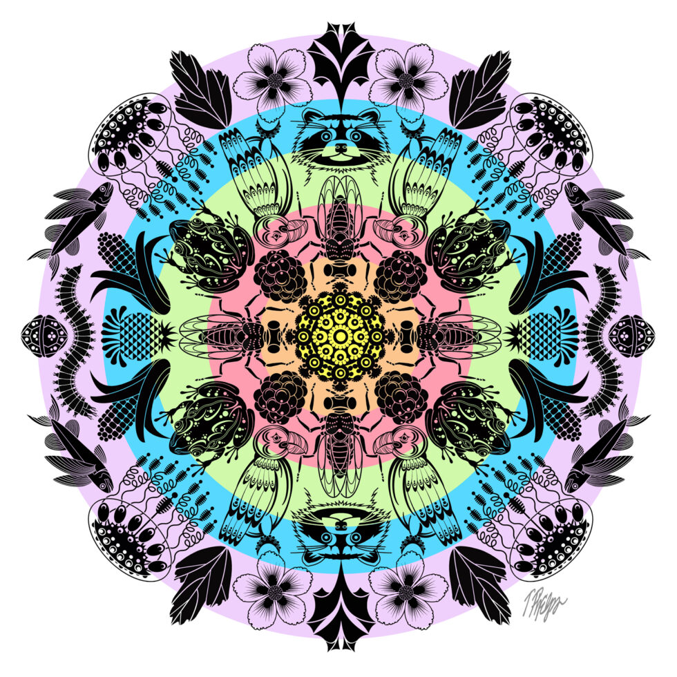 Biodiversity Classification Phelps Mandalas Biodiversity classification phelps mandalas